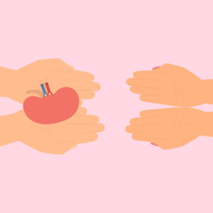 Saint Luke’s Living Kidney Donor Education Session (in person)